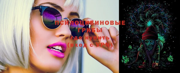 ПСИЛОЦИБИНОВЫЕ ГРИБЫ Абдулино