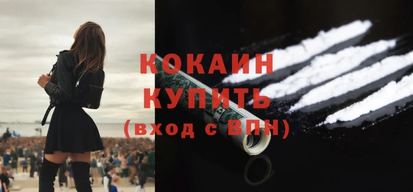 винт Абаза