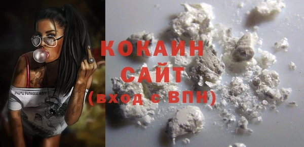 винт Абаза
