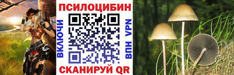 кракен ONION  Камышлов  Галлюциногенные грибы Magic Shrooms 