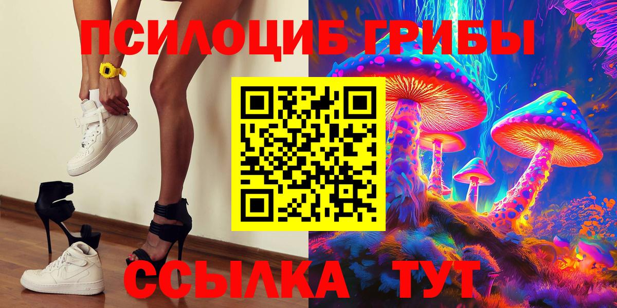 Псилоцибиновые грибы GOLDEN TEACHER Камышлов