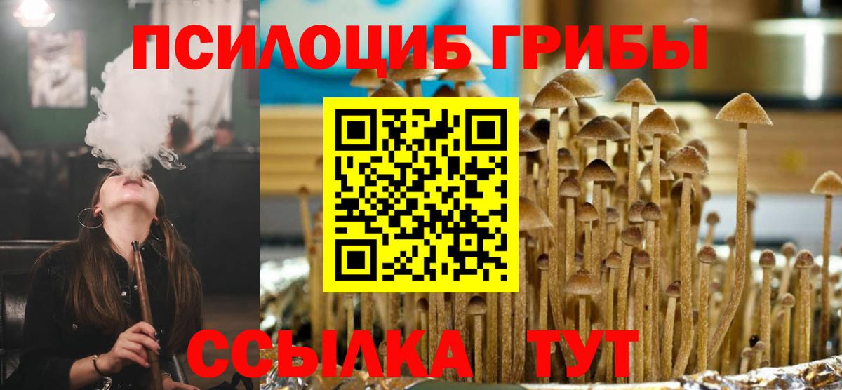 Псилоцибиновые грибы Psilocybe  Вход с VPN  Камышлов  Галлюциногенные грибы Psilocybe 