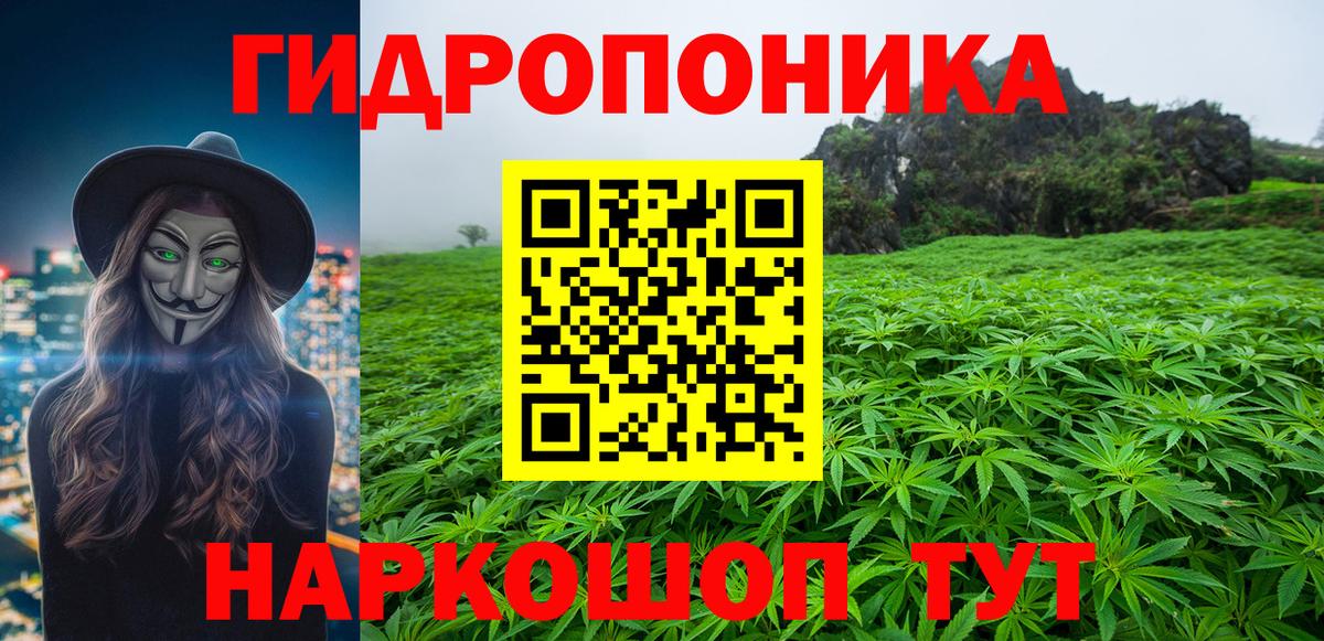 Конопля AK-47  Вход с VPN  МАРИХУАНА сатива  Камышлов  Каннабис OG Kush 
